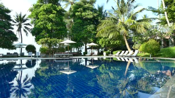 vue sur piscine, parasols et végétation tropicale luxuriante  