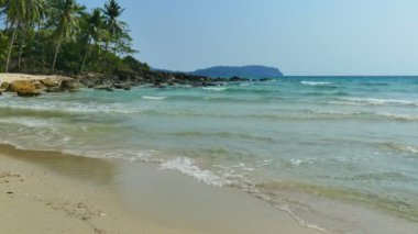 Tropikal plaj ile pitoresk marina. Tatil ve seyahat