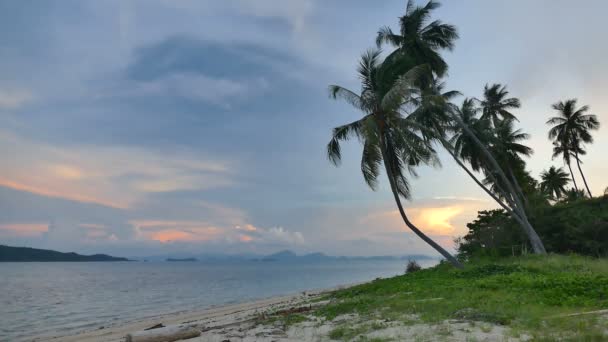 Zonsondergang Golven Van Zee Palmbomen Dramatische Hemel — Stockvideo