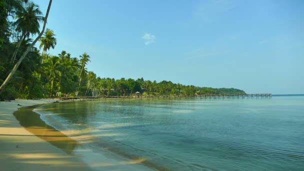 Malerischer Yachthafen Mit Tropischem Strand Urlaub Und Reisen — Stockvideo