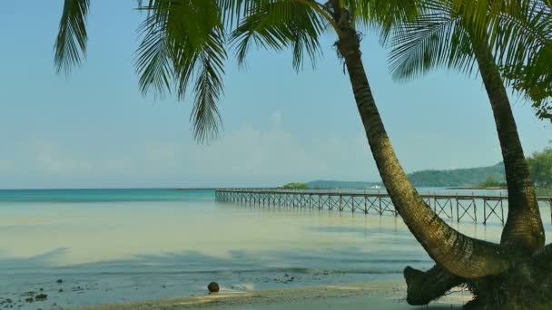 Malerischer Yachthafen Mit Tropischem Strand Urlaub Und Reisen — Stockvideo