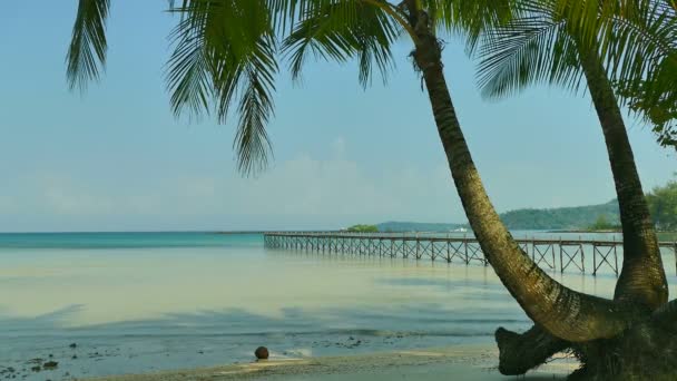 Pintoresca Marina Con Playa Tropical Vacaciones Viajes — Vídeos de Stock