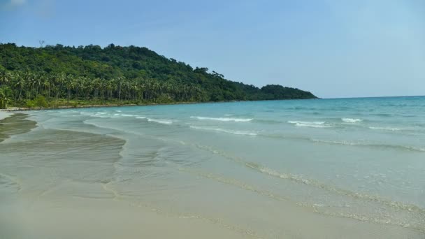 Marina Pittoresque Avec Plage Tropicale Vacances Voyages — Video