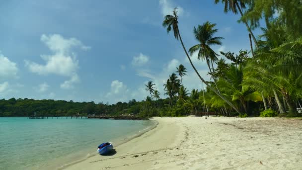 Marina Pittoresque Avec Plage Tropicale Vacances Voyages — Video