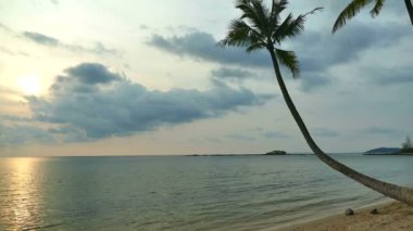 Tropikal plaj ile pitoresk marina. Tatil ve seyahat