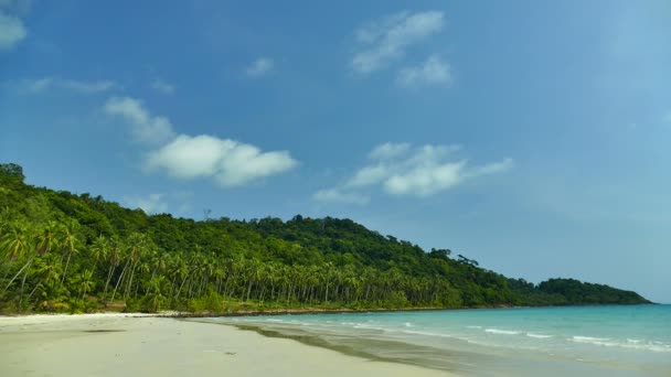 Malerischer Yachthafen Mit Tropischem Strand Urlaub Und Reisen — Stockvideo