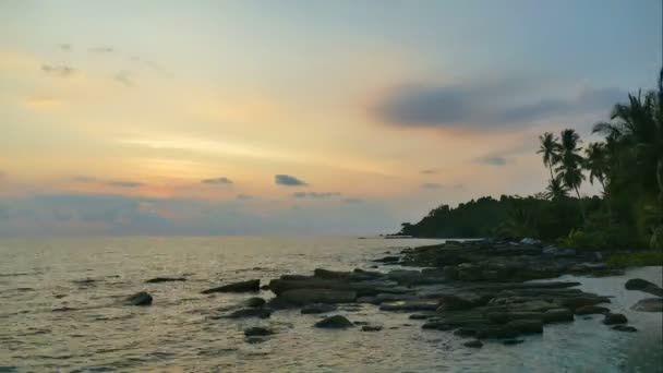 Vista Atardecer Olas Marinas Palmeras Cielo Dramático — Vídeos de Stock