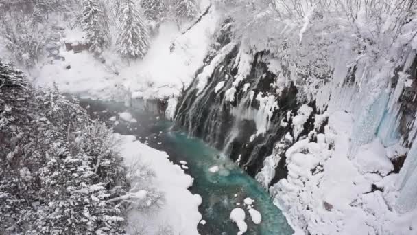 Erstaunliche Winterlandschaft Mit Kiefern Und Gefrorenem Fluss — Stockvideo