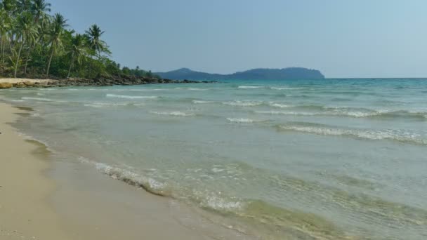 Marina Pittoresque Avec Plage Tropicale Vacances Voyages — Video