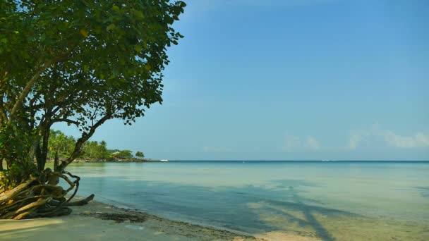 Pitoresca Marina Com Praia Tropical Férias Viagens — Vídeo de Stock