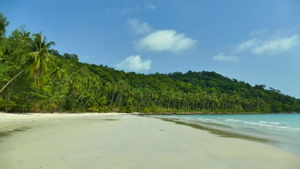 Malebný Přístav Tropickou Pláž Dovolená Cestování — Stock video