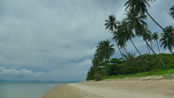 Pintoresca Marina Con Playa Tropical Vacaciones Viajes — Vídeos de Stock