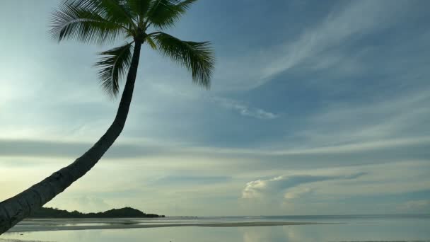 Pitoresca Marina Com Praia Tropical Férias Viagens — Vídeo de Stock