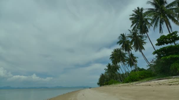 Tropisch Strand Met Palmbomen Blauwe Oceaan Golven — Stockvideo