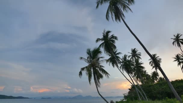 Splendida Vista Sul Mare Palme Drammatico Cielo Tramonto — Video Stock