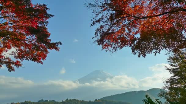 Japonya Daki Fuji Dağı Ile Renkli Sonbahar Manzarası — Stok video