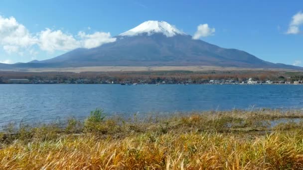 日本の富士山と山中湖の色とりどりの紅園 — ストック動画
