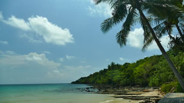 Marina Pittoresque Avec Plage Tropicale Vacances Voyages — Video