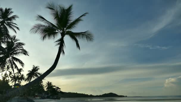 Splendida Vista Sul Mare Palme Drammatico Cielo Tramonto — Video Stock