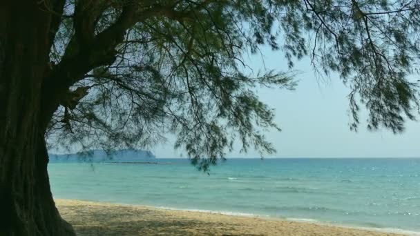 Malerischer Yachthafen Mit Tropischem Strand Urlaub Und Reisen — Stockvideo