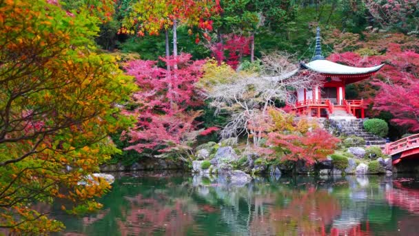 Ναός Daigo Πολύχρωμα Πλατάνια Φθινόπωρο Στο Κιότο Της Ιαπωνίας — Αρχείο Βίντεο