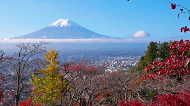 日本の富士山とカラフルな秋の風景 — ストック動画