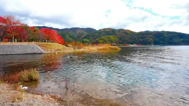 Удивительный Вид Озеро Яркие Осенние Холмы — стоковое видео