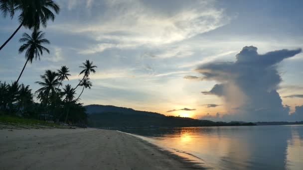 Splendida Vista Sul Mare Palme Drammatico Cielo Tramonto — Video Stock