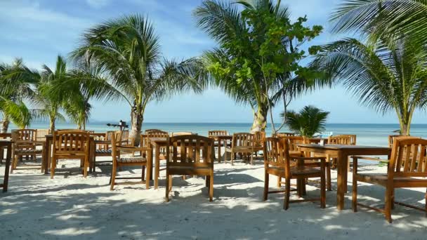 Palmen Tafels Stoelen Het Zandstrand Van Tropical Resort — Stockvideo