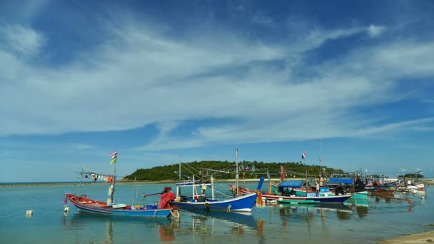 Muchos Barcos Brillantes Playa Tropical — Vídeo de stock