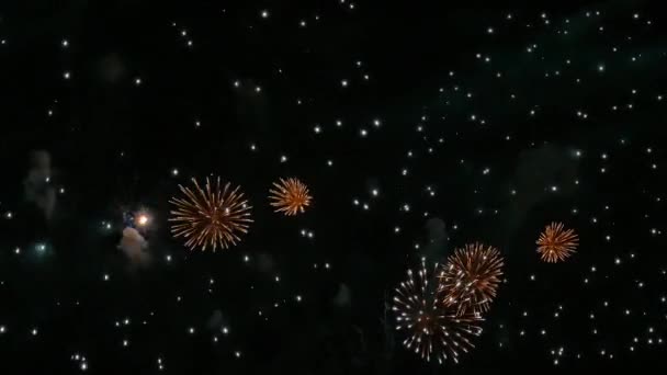 Video Fuochi Artificio Che Brillano Nel Cielo Notturno Buio — Video Stock