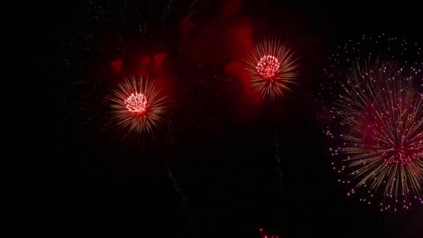 Vídeo Fogos Artifício Brilhando Céu Escuro Noite — Vídeo de Stock
