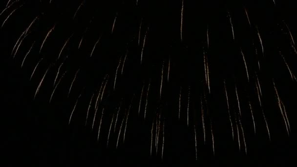 Video Artificii Strălucind Cerul Întunecat Nopții — Videoclip de stoc