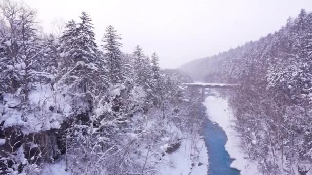 Shirahige Vodopád Sněhové Zimní Sezóně Hokkaido Japonsko — Stock video