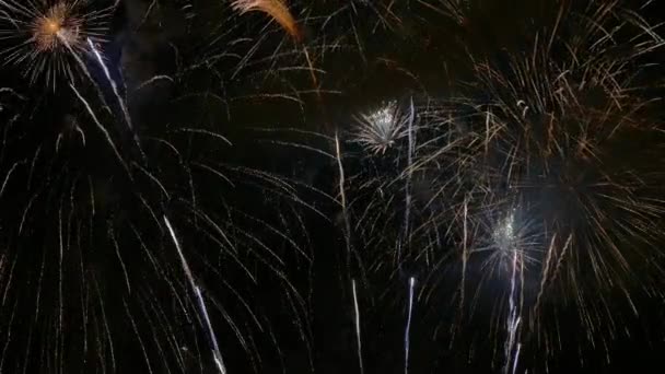 Vídeo Fogos Artifício Brilhando Céu Escuro Noite — Vídeo de Stock