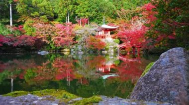 Japonya 'nın Kyoto şehrinde sonbaharda renkli akçaağaç ağaçları olan Daigo-ji tapınağı.
