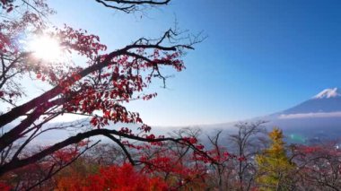 Japonya 'daki Fuji Dağı ile renkli sonbahar manzarası