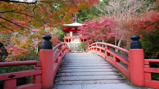 Templo Daigo Con Arces Colores Otoño Kyoto Japón — Vídeos de Stock