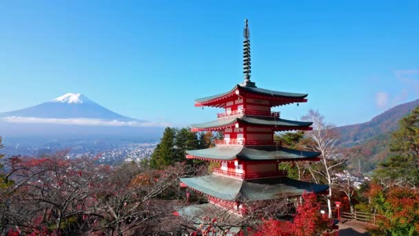 Kolorowy Jesienny Krajobraz Górą Fuji Pagodą Chureito Japonii — Wideo stockowe