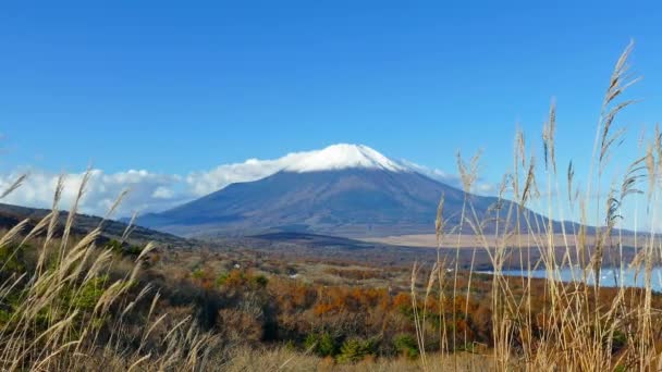 Japonya Daki Fuji Dağı Ile Renkli Sonbahar Manzarası — Stok video