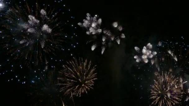 Video Fuegos Artificiales Brillando Cielo Oscuro Noche — Vídeos de Stock