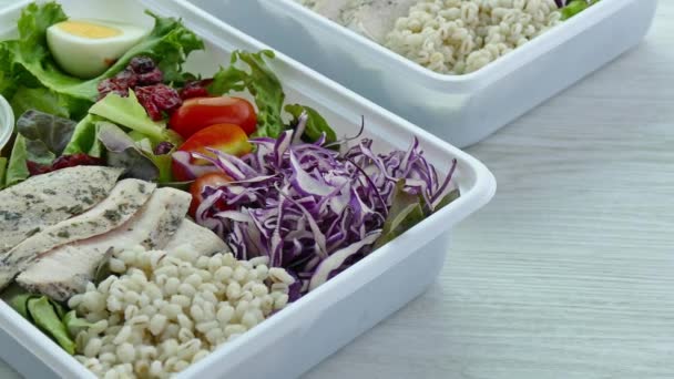 Lezat Daging Panggang Dan Salad Piring — Stok Video