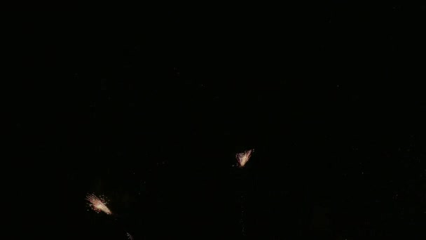 Vidéo 4k de feux d'artifice lumineux dans le ciel nocturne sombre 