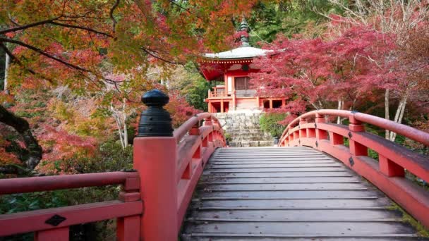 Japonya Nın Kyoto Şehrinde Sonbaharda Renkli Akçaağaç Ağaçları Olan Daigo — Stok video