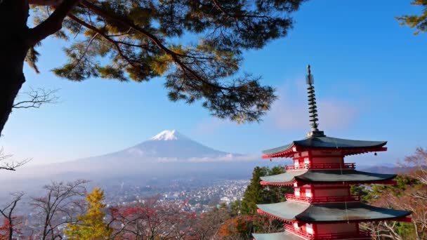 Färgglada Höstlandskap Med Berget Fuji Och Chureito Pagoda Japan — Stockvideo