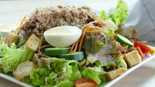 Salad tuna dengan sayuran segar — Stok Video