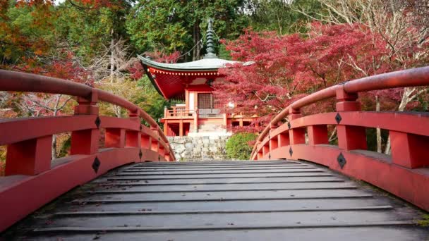 Tempio Daigo Con Acero Colorato Autunno Kyoto Giappone — Video Stock