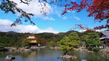 Kyoto, Japonya 'daki Kinkakuji Tapınağı Altın Çadırı ile Renkli Sonbahar.