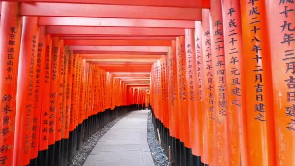 京都の伏見稲荷神社の有名な鳥居 — ストック動画