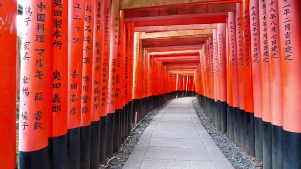 Torii Renommée Sanctuaire Fushimi Inari Kyoto Japon — Video